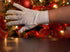 Santa Proof Evidence Kit